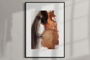 GLAMOUR | print 50 x 70 cm w oprawie 70 x 100 cm