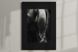 PROUD SPIRIT | print 50 x 70 cm w oprawie 70 x 100 cm