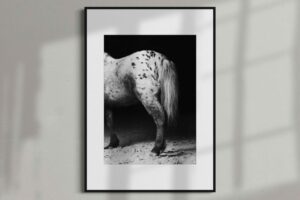 ROMEO | print 50 x 70 cm w oprawie 70 x 100 cm